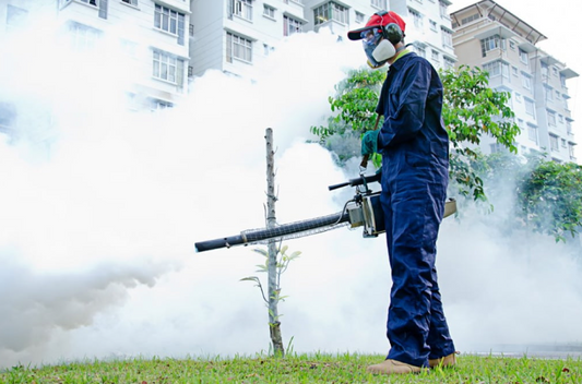 What Will Be the Cost of Fumigation in 2024?