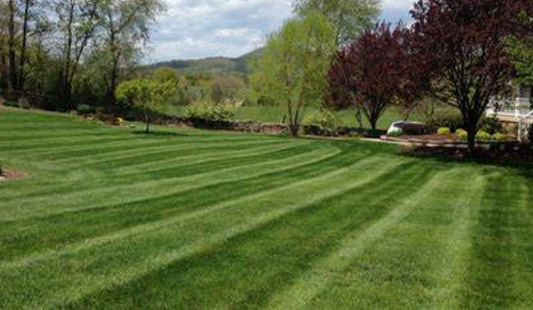 Effortlessly Achieve a Perfectly Manicured Lawn: 10 Easy Tips for Edging from This Old House