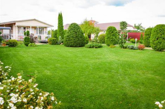 Rapidly Growing a Lush Lawn: Expert Tips from This Old House for Speedy Lawn Care