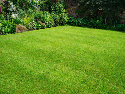 Unleashing the Green: A Comprehensive Review of Trugreen's Lawn Care Services