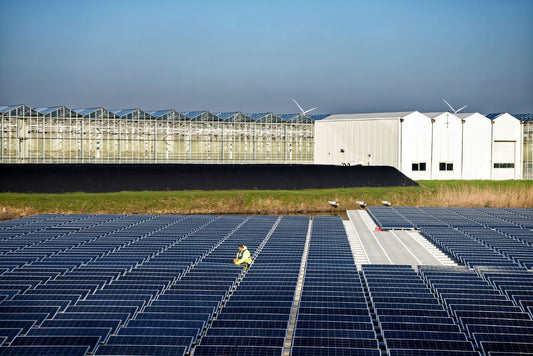 The Top 10 Solar Companies In North Carolina (NC)