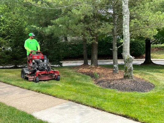 TruGreen vs. Weed Man: A Complete Comparison for Choosing the Best Lawn Care Service in 2024