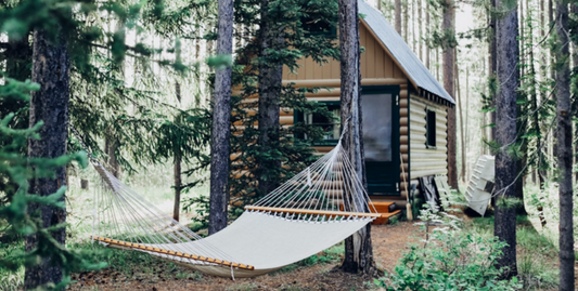 How to Build an Off-Grid Cabin: Your Guide to Living Sustainably in Nature