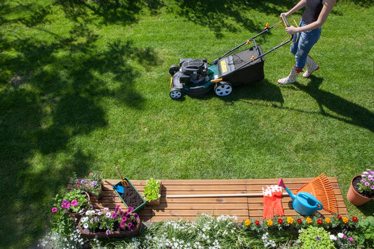 Maintaining a Lush Lawn: A Year-Round Guide to Optimal Lawn Care