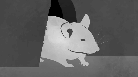 Conquering the Hidden Menace: Eradicating Mice from Inside Your Walls