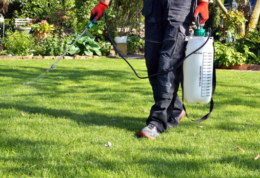 Say Goodbye to Weeds: An Expert Guide to the Top Weed Killers for a Perfect Lawn in 2024